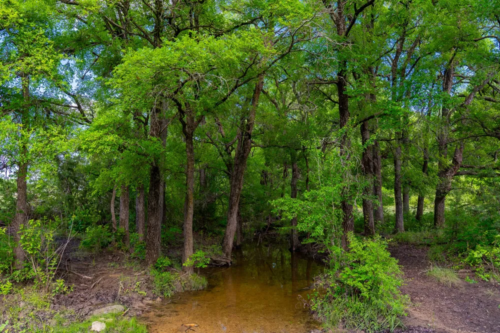 5950 Moccasin Bend Road Gatesville, TX 76528
