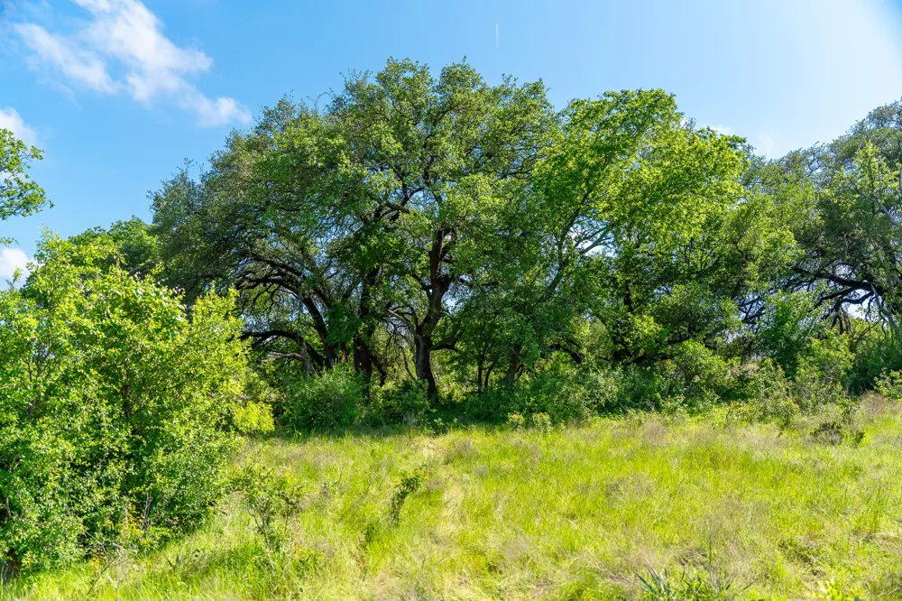 5950 Moccasin Bend Road Gatesville, TX 76528