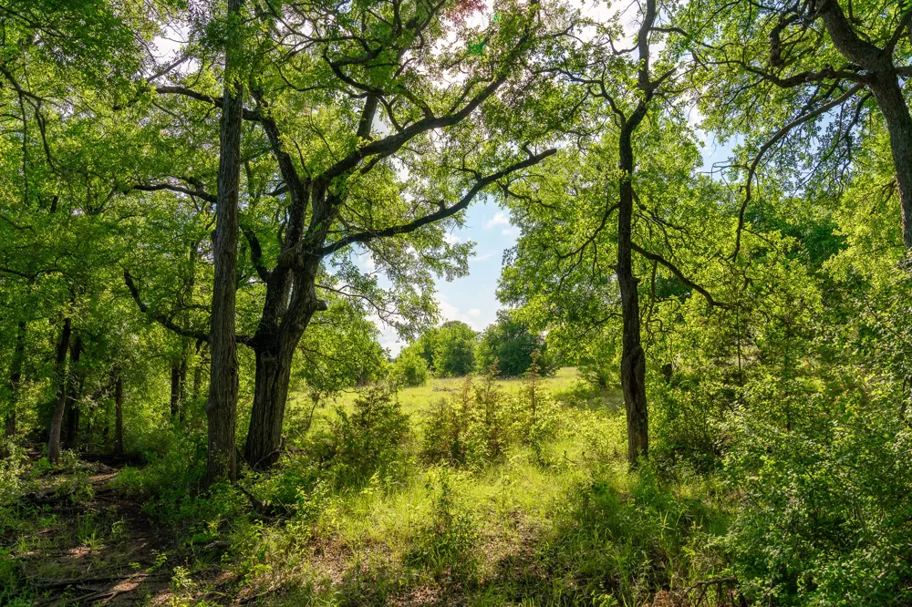 5950 Moccasin Bend Road Gatesville, TX 76528
