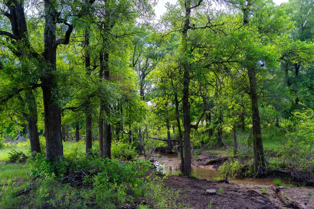 5950 Moccasin Bend Road Gatesville, TX 76528