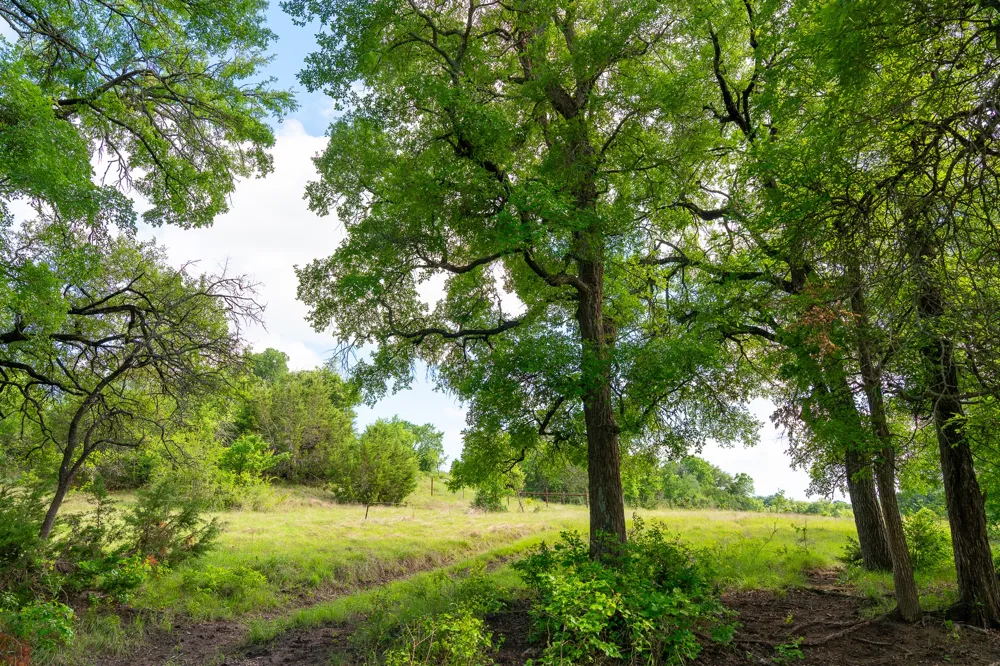 5950 Moccasin Bend Road Gatesville, TX 76528