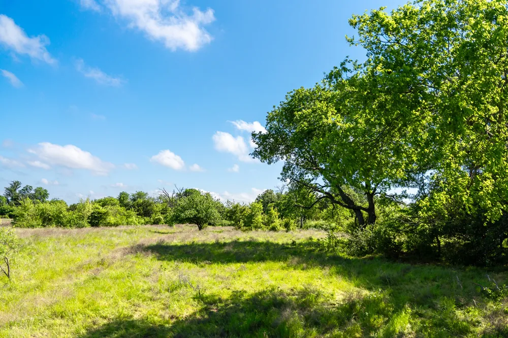 5950 Moccasin Bend Road Gatesville, TX 76528