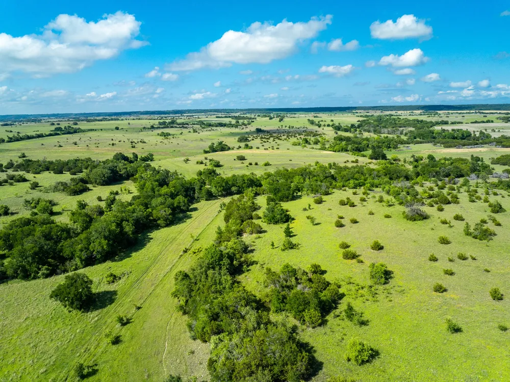5950 Moccasin Bend Road Gatesville, TX 76528