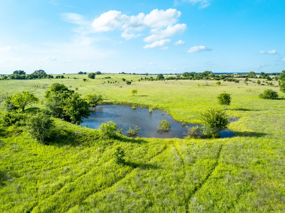 5950 Moccasin Bend Road Gatesville, TX 76528