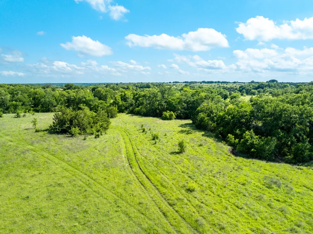 5950 Moccasin Bend Road Gatesville, TX 76528