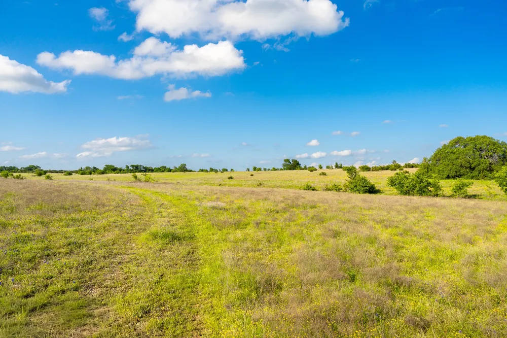 5950 Moccasin Bend Road Gatesville, TX 76528