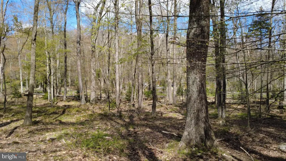163 OWASSA DRIVE Pocono Lake, PA 18347