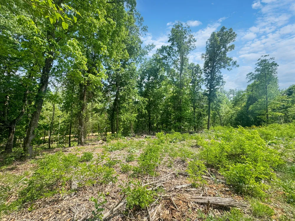 588 EAGLES NEST LANDING Bath Springs, TN 38311
