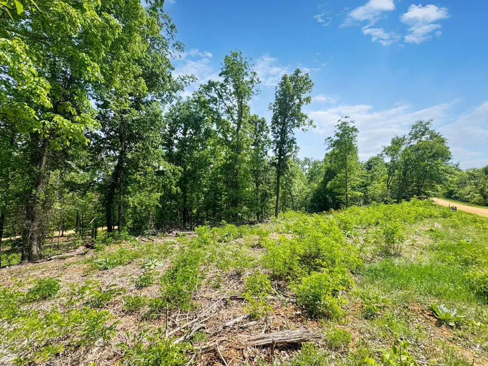 588 EAGLES NEST LANDING Bath Springs, TN 38311