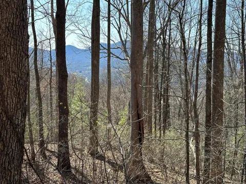 Lot 80 Asheland Cove