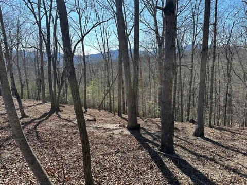 Lot 55 Asheland Cove
