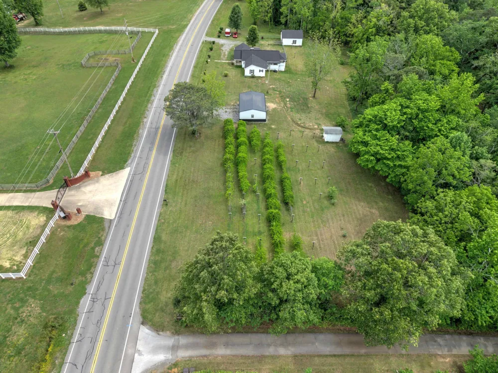 1115 Alabama 73 Bryant, AL 35958