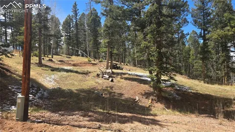 151 Mt Elbert Road