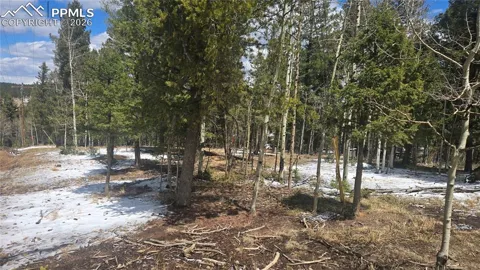 144 Little Bear Peak Road