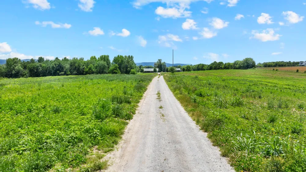 235 Breezy Knoll Ln Morrison, TN 37357