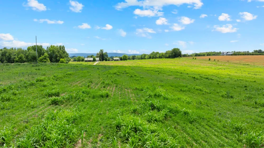 235 Breezy Knoll Ln Morrison, TN 37357