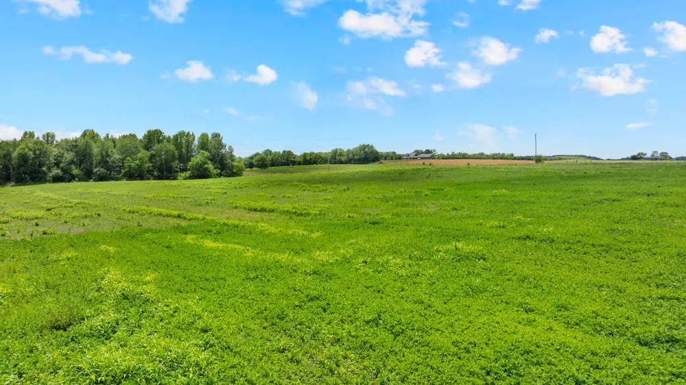 235 Breezy Knoll Ln Morrison, TN 37357