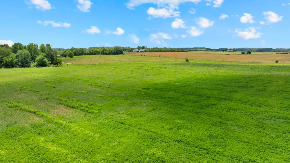 235 Breezy Knoll Ln Morrison, TN 37357
