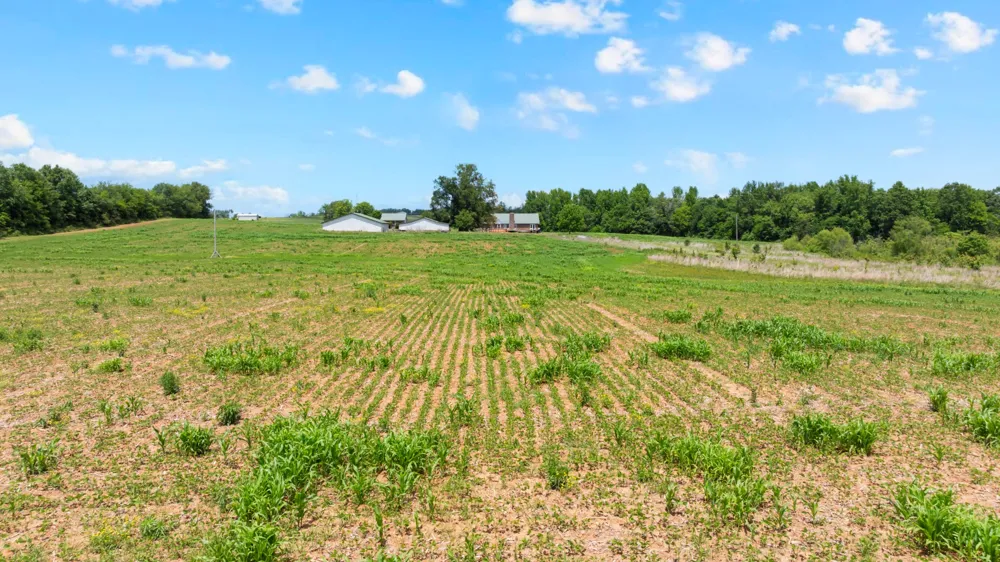235 Breezy Knoll Ln Morrison, TN 37357