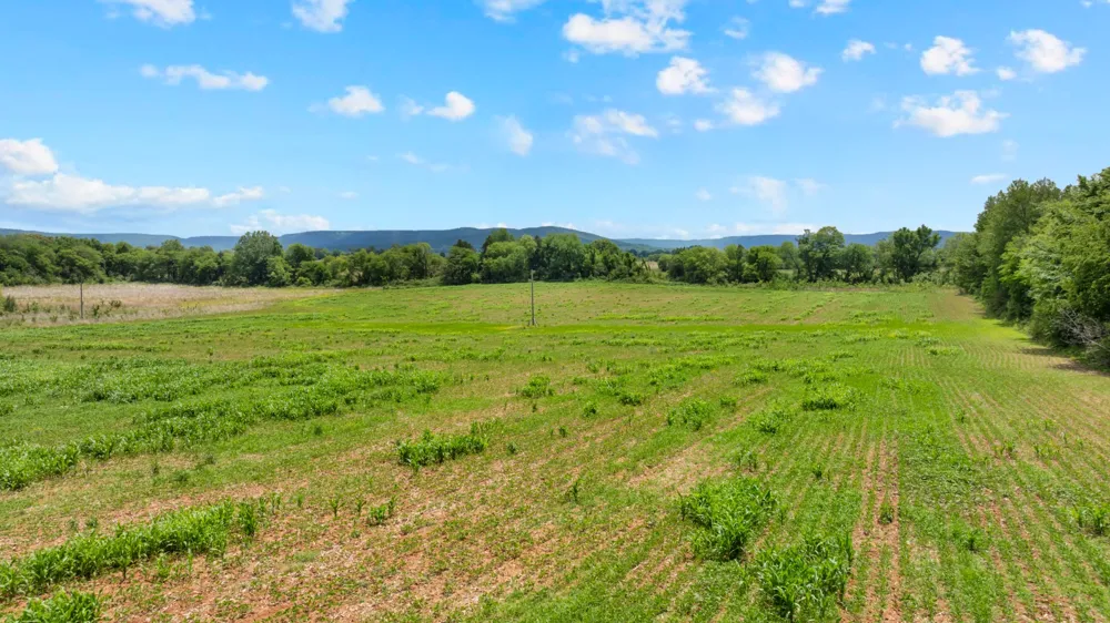 235 Breezy Knoll Ln Morrison, TN 37357