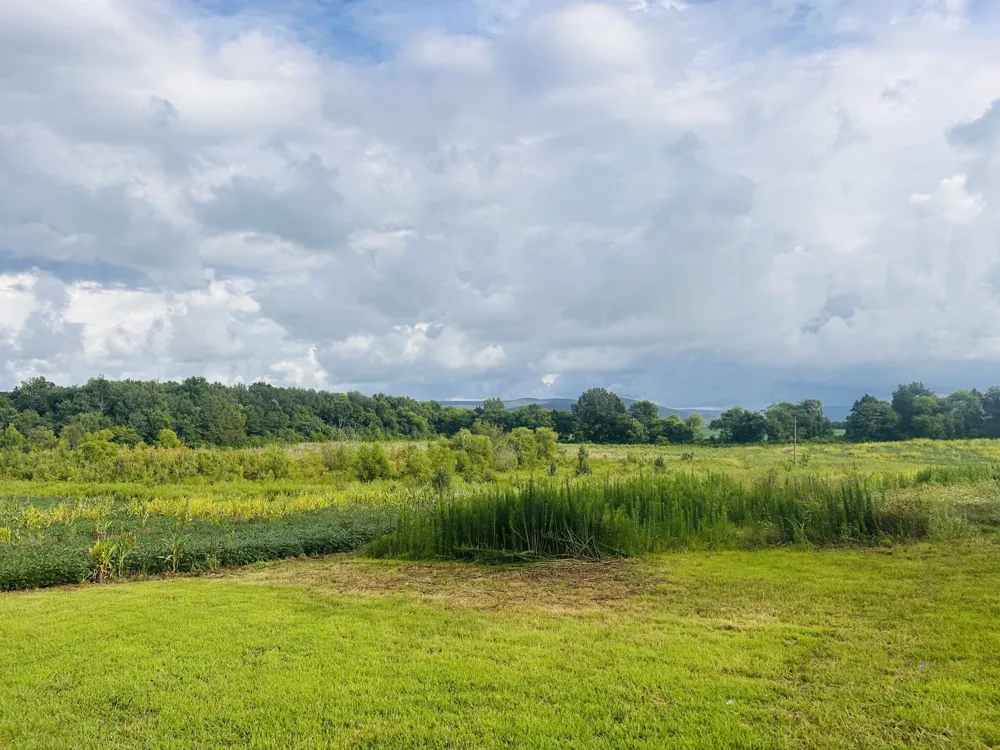 235 Breezy Knoll Ln Morrison, TN 37357