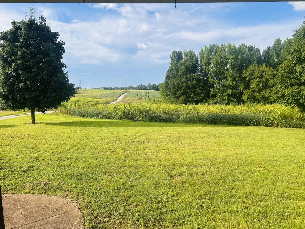 235 Breezy Knoll Ln Morrison, TN 37357