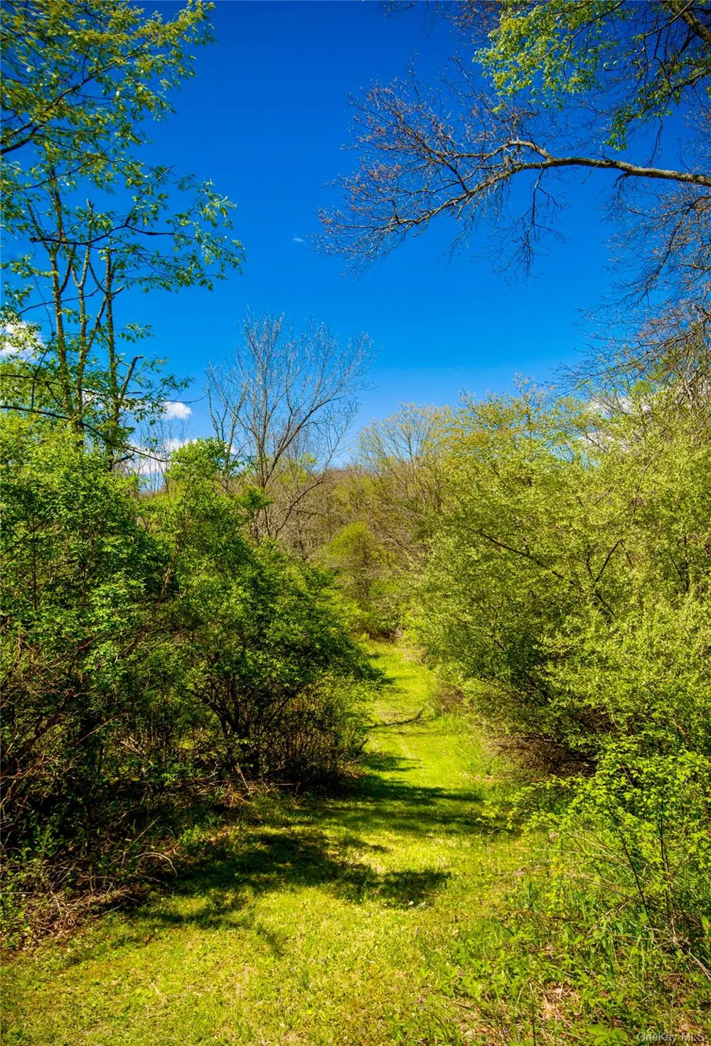 15 Unity Lane New Paltz, NY 12561