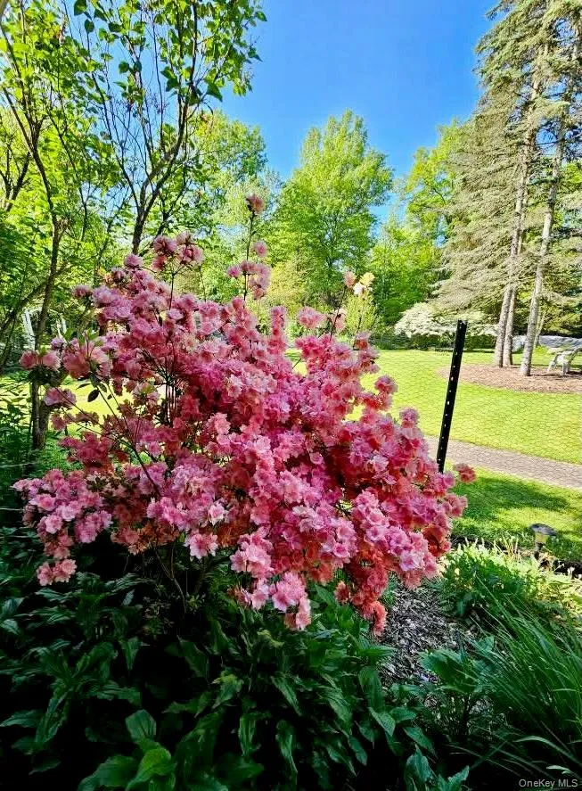 15 Unity Lane New Paltz, NY 12561