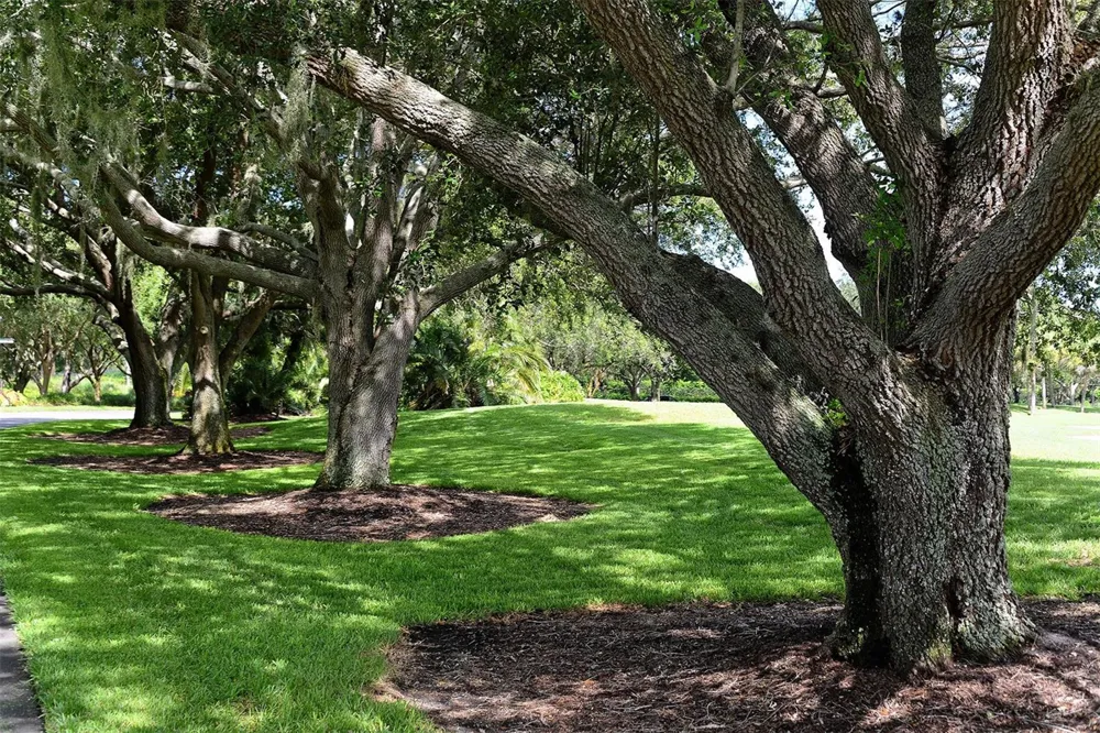 51 MACEWEN DRIVE #12 Osprey, FL 34229
