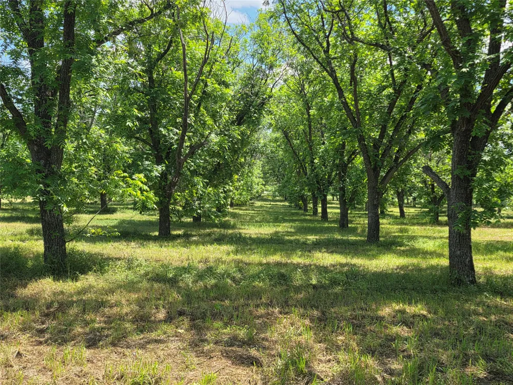 Cr 446 De Leon, TX 76444
