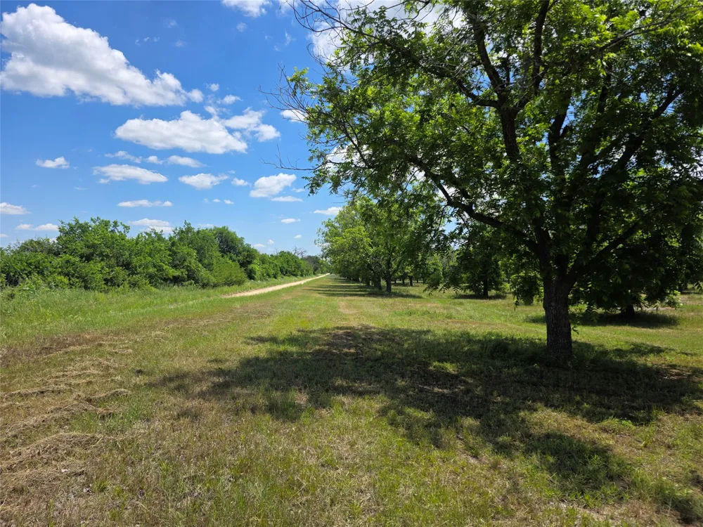 Cr 446 De Leon, TX 76444
