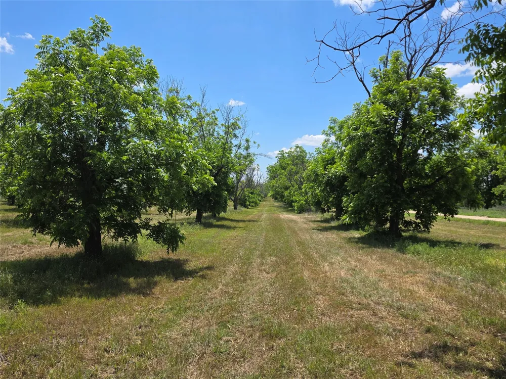 Cr 446 De Leon, TX 76444