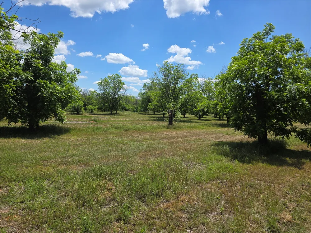 Cr 446 De Leon, TX 76444
