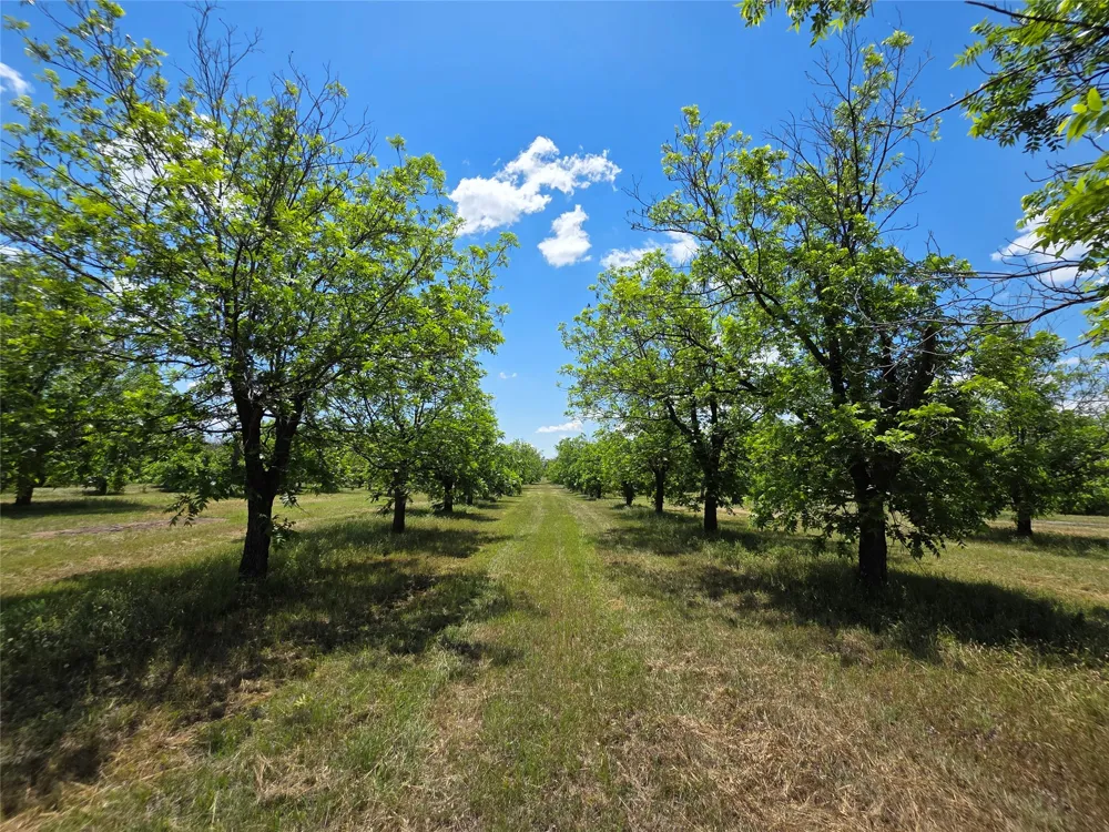 Cr 446 De Leon, TX 76444