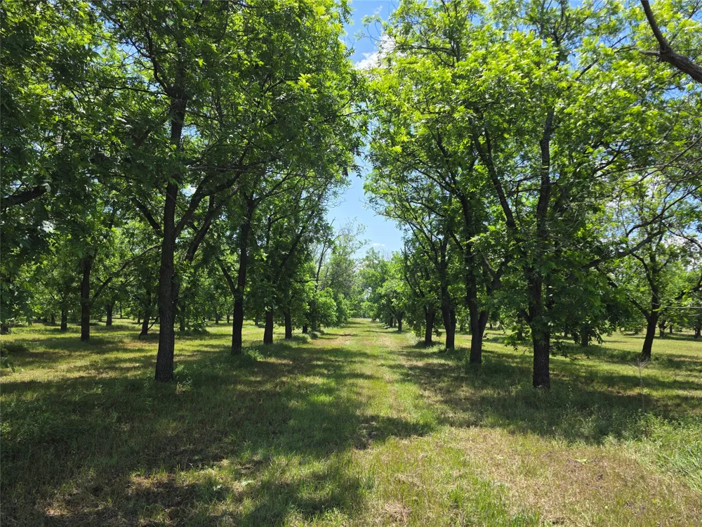Cr 446 De Leon, TX 76444