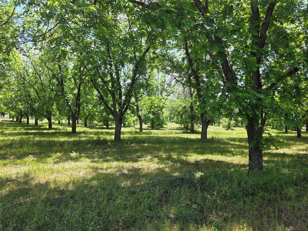 Cr 446 De Leon, TX 76444