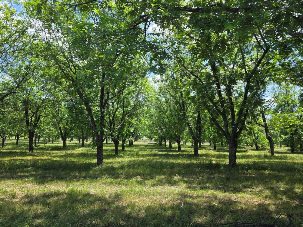 Cr 446 De Leon, TX 76444