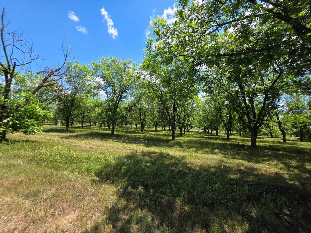 Cr 446 De Leon, TX 76444