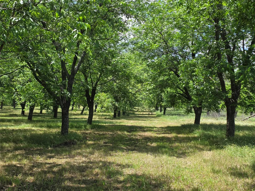 Cr 446 De Leon, TX 76444