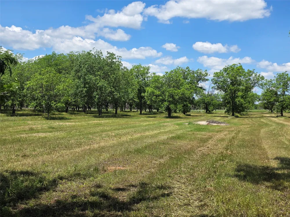 Cr 446 De Leon, TX 76444