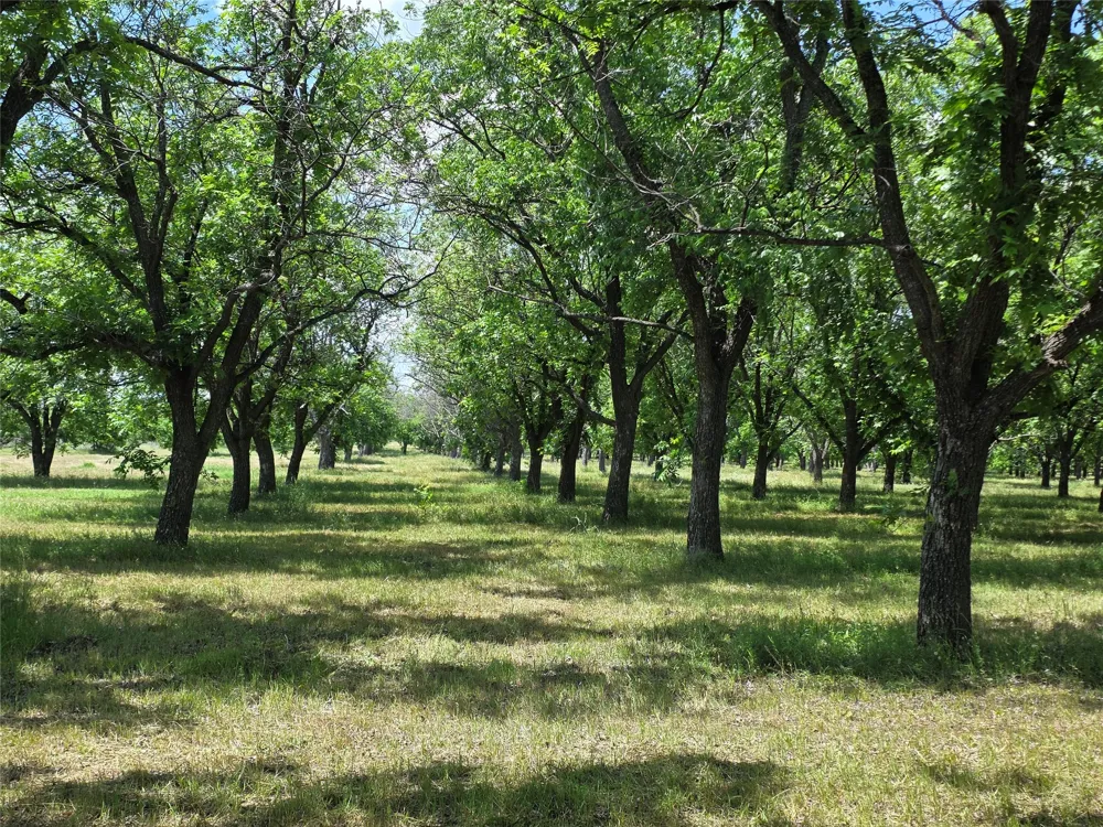 Cr 446 De Leon, TX 76444