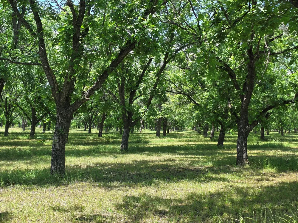 Cr 446 De Leon, TX 76444