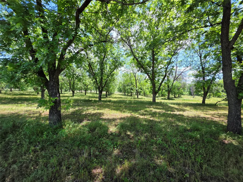 Cr 446 De Leon, TX 76444