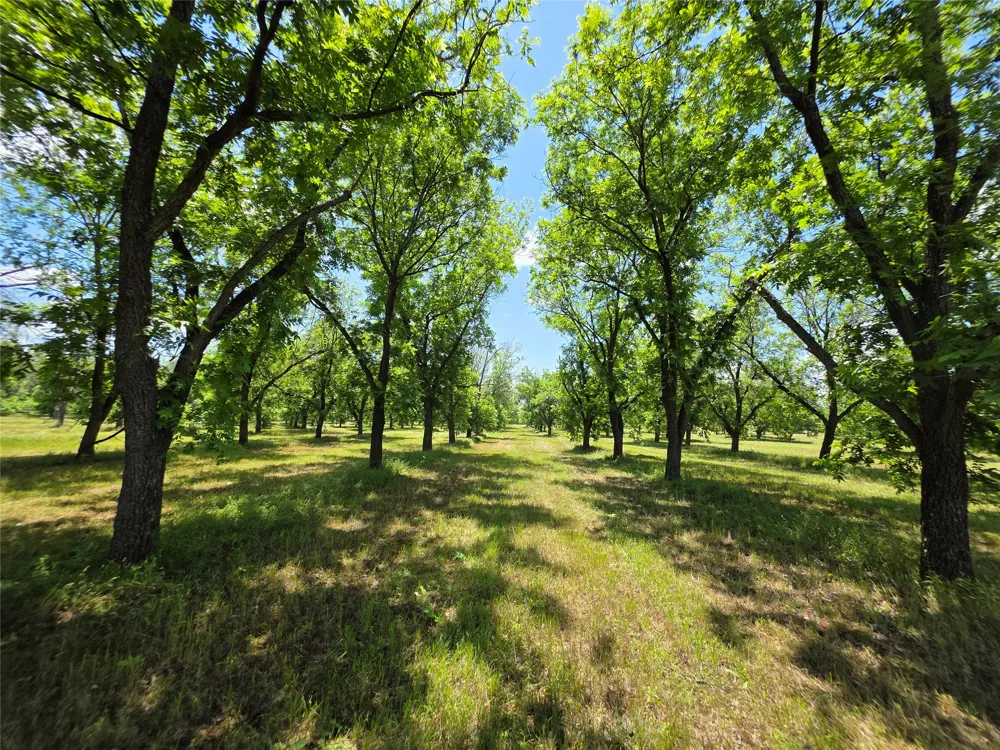 Cr 446 De Leon, TX 76444