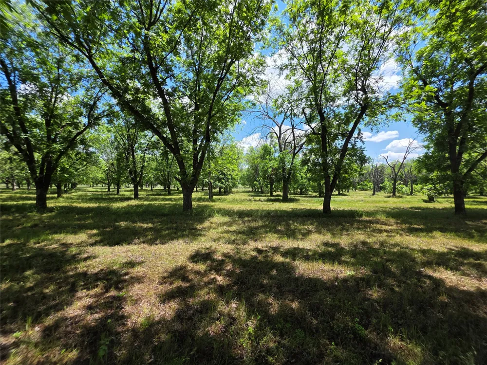Cr 446 De Leon, TX 76444