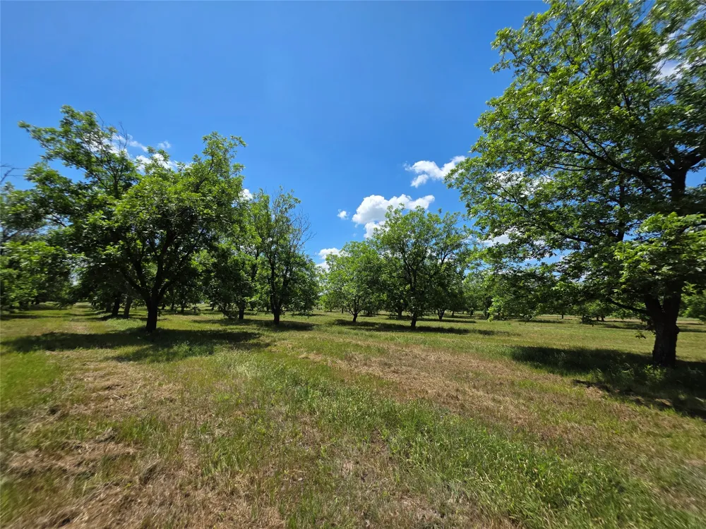 Cr 446 De Leon, TX 76444