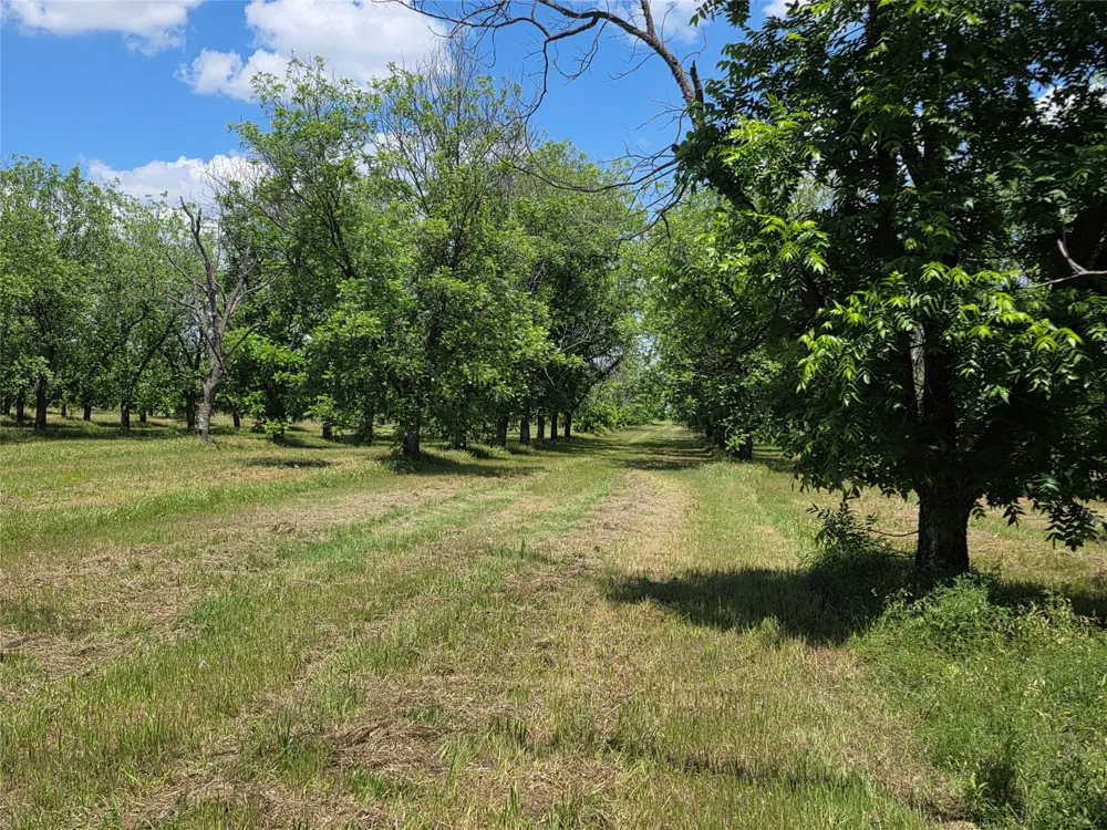 Cr 446 De Leon, TX 76444