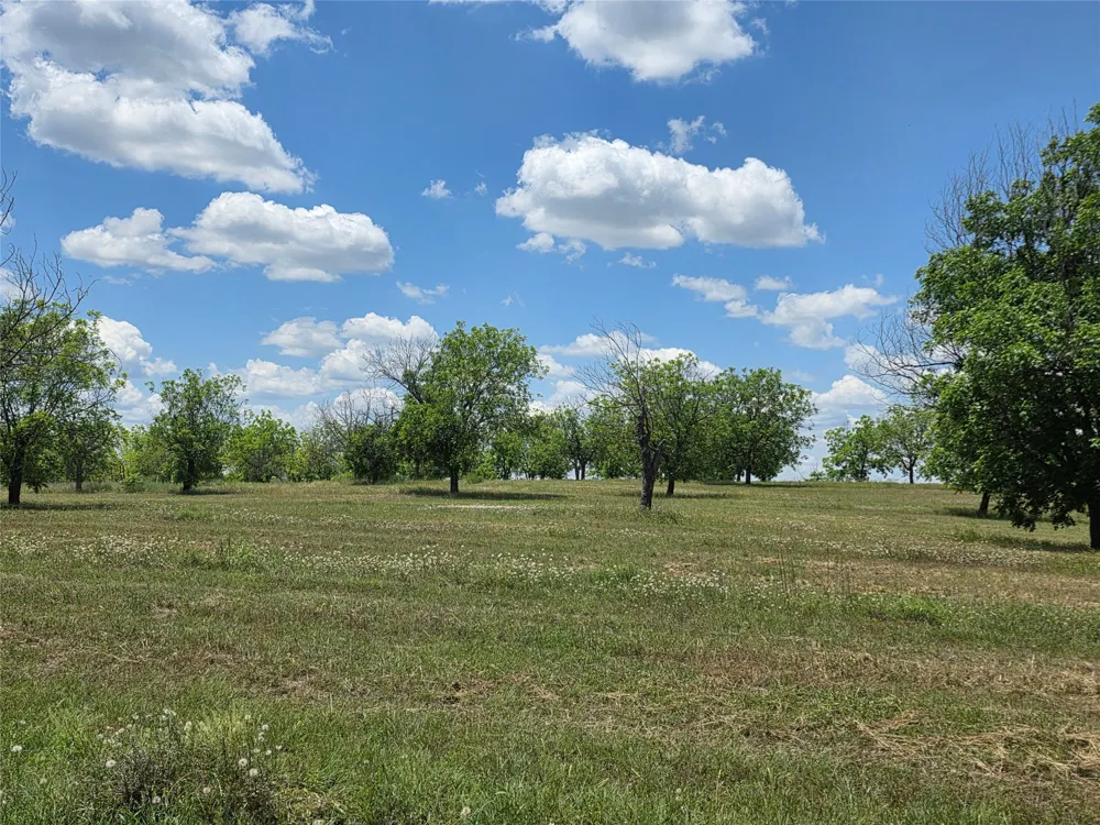 Cr 446 De Leon, TX 76444