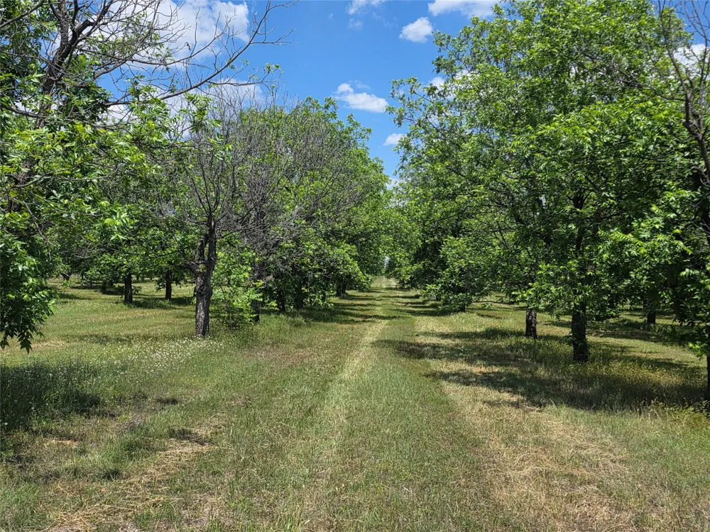 Cr 446 De Leon, TX 76444