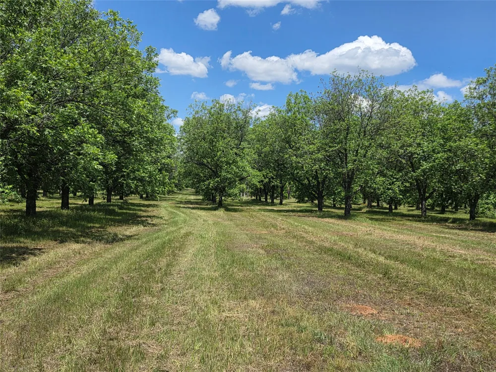 Cr 446 De Leon, TX 76444